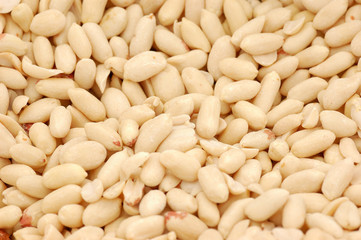 Peanut