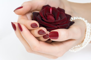 Beautiful woman hands with red manicure holding red rose