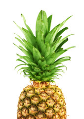 Ripe pineapple