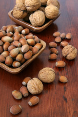 Hazelnuts and walnuts