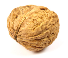Walnuts close-up
