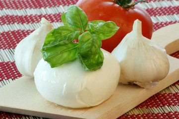 delicious mozzarella with fresh organic garlic and tomato