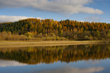 Forest reflection in water