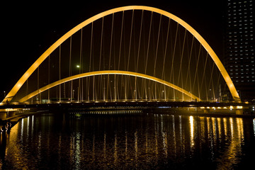 Fototapeta na wymiar Modern Suspension Bridge