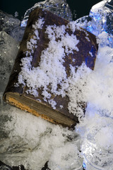 Snow covered fungus damaged book