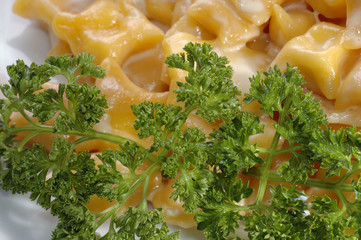 decorated with parsley salad