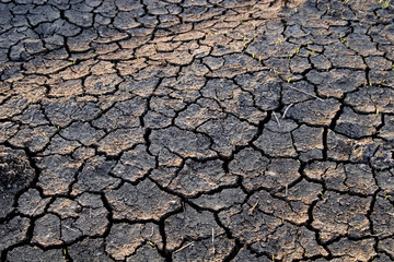 A dry, cracked earth texture  