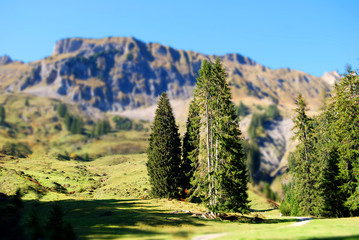 Miniberge