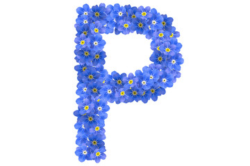 vergissmeinnicht P