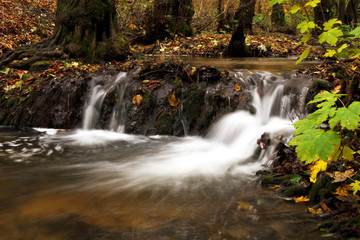 River cascade in a forest in Transylvania mountains-Romania 