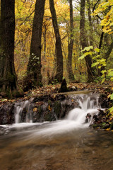 Fototapeta na wymiar River cascade in a forest in Transylvania mountains-Romania 