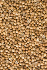 background ofcoriander seeds