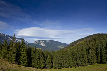 Obraz premium Beautiful autumn scenery in the mountains and pine trees