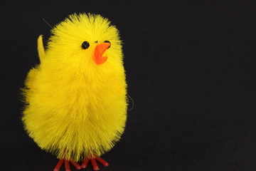 easter chick