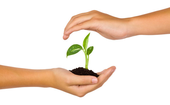 New life in young hands