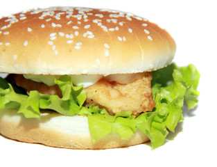 Tasty hamburger isolated on white background