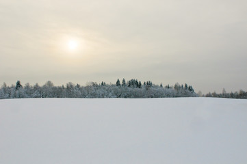 winter landscape
