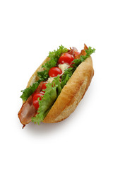 sandwich