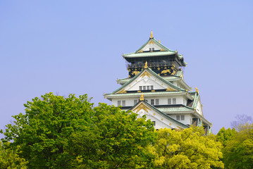 Fototapeta premium Osaka Castle