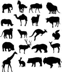 Black animal silhouettes