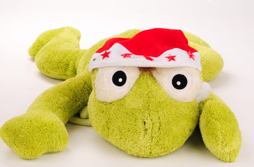 Weihnachtsfrosch