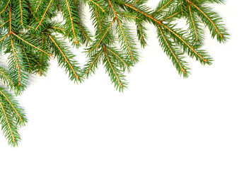 Christmas tree branch border