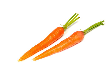 carrot