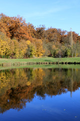 Obraz premium AM SEE