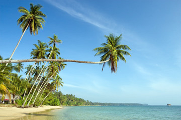 Tropical landscape of Ko Mak island in Thailand.