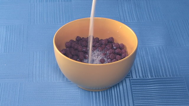 To pour milk in a cup with chocolate granules.
