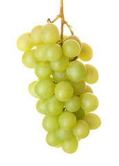 bunch of fresh green grapes isolated on white