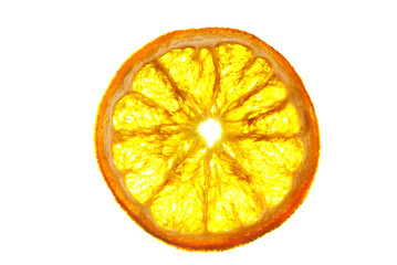 Orange im Gegenlicht