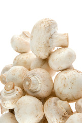 White mushrooms over white