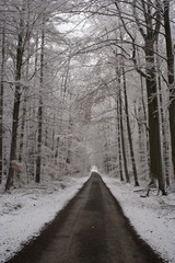 Winterlicher Waldweg