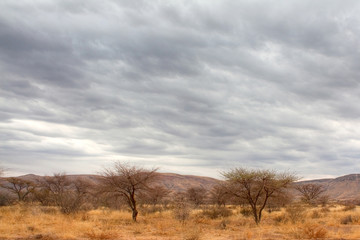 Landschaft in Namibia