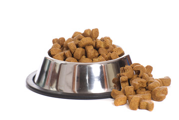 Dog Food
