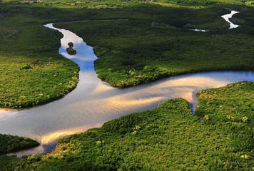 Aerial view of Wetlands