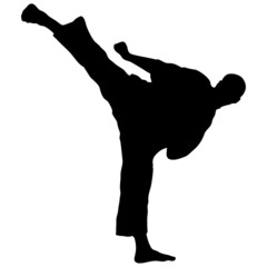 karate kick yoko gery © master_77