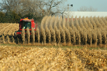combine harvesting corn, rural Nebraska