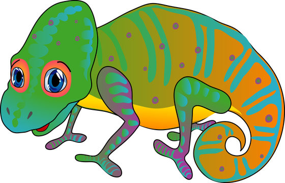 Cartoon chameleon