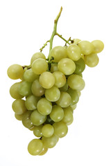 green grapes isolated on a white background