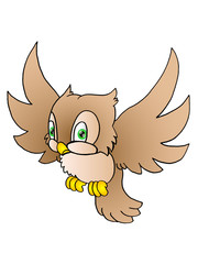 Fototapeta premium flying owl