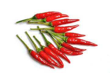 Red hot chilli peppers in a bunch, hot and spicy