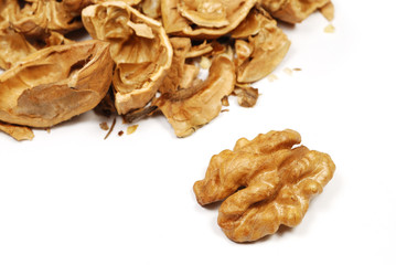 isolated nut and nutshell