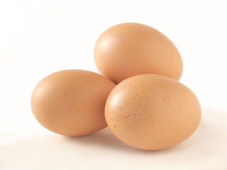 hns' eggs