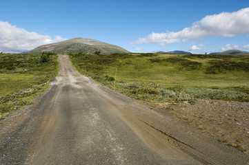 Fototapeta na wymiar Narodowy Dovrefjell