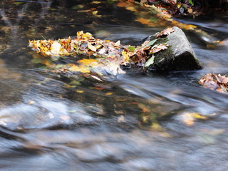 little river (2)