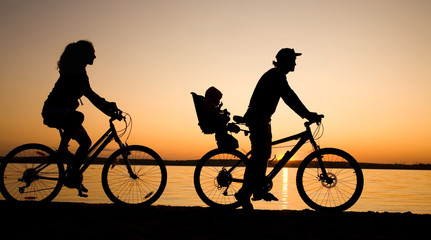 family bicycler