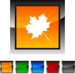 Autumn icon set. Vector illustration