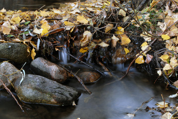Corriente de agua en otoño